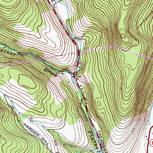 Topographic Map of West Platner Brook, NY
