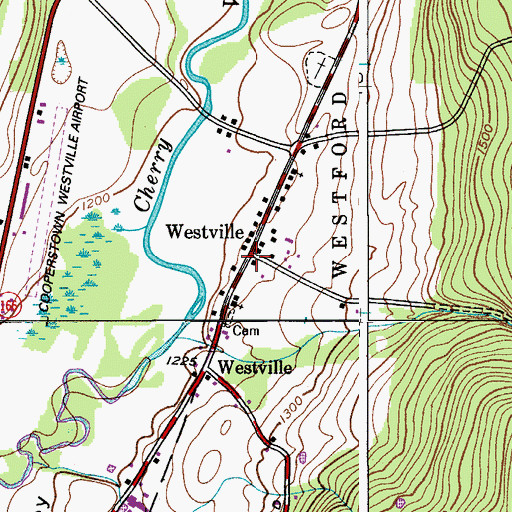 Topographic Map of Westville, NY