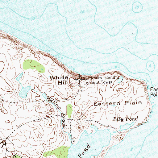 Topographic Map of Whale Hill, NY