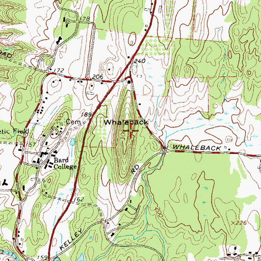 Topographic Map of Whaleback, NY