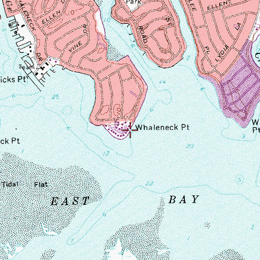 Topographic Map of Whaleneck Point, NY