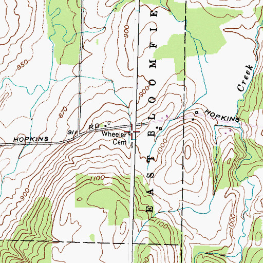 Topographic Map of Wheeler Cemetery, NY