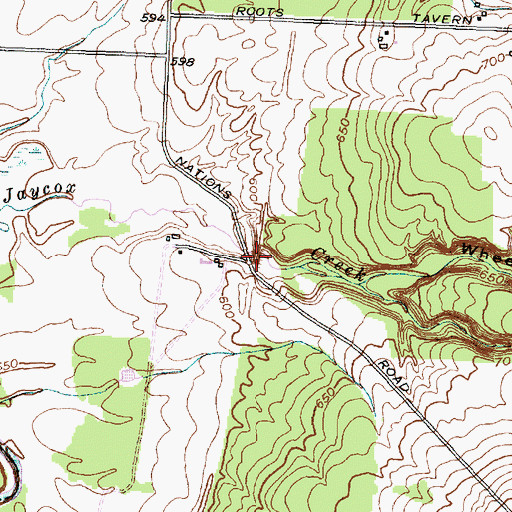 Topographic Map of Wheelers Gully, NY