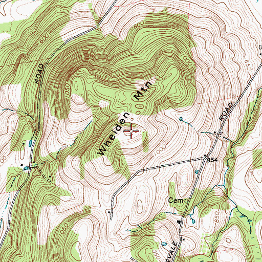 Topographic Map of Whelden Mountain, NY