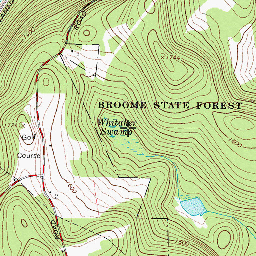 Topographic Map of Whitaker Swamp, NY