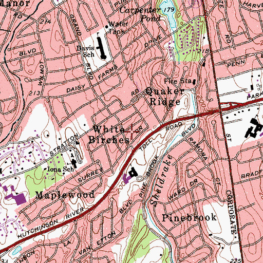 Topographic Map of White Birches, NY