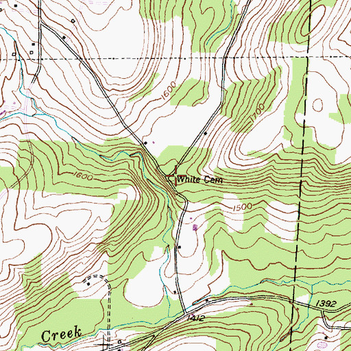 Topographic Map of White Cemetery, NY