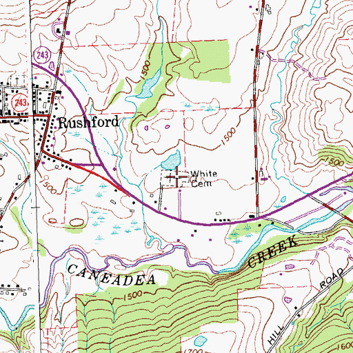 Topographic Map of White Cemetery, NY