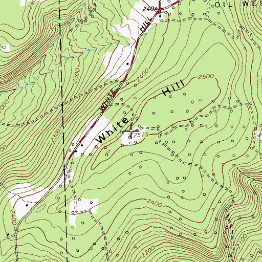 Topographic Map of White Hill, NY