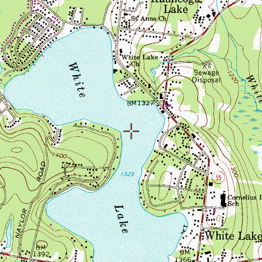 Topographic Map of White Lake, NY