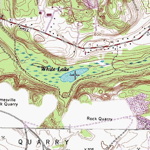 Topographic Map of White Lake, NY