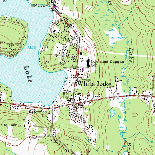 Topographic Map of White Lake, NY