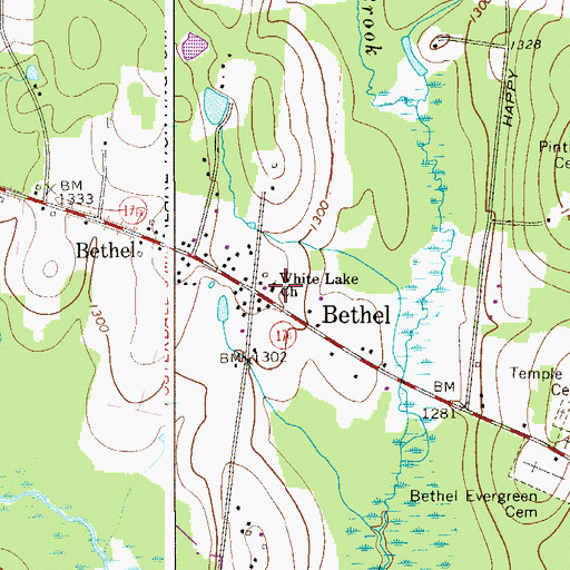Topographic Map of White Lake Church, NY