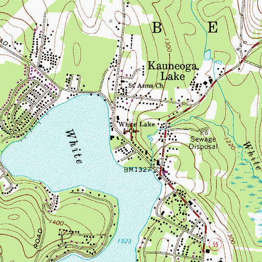 Topographic Map of White Lake Church, NY
