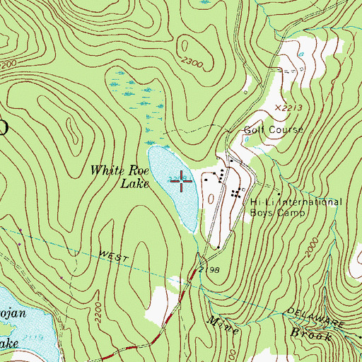 Topographic Map of White Roe Lake, NY