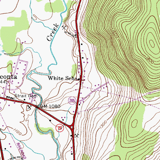 Topographic Map of White School, NY