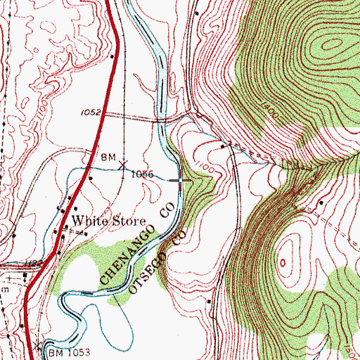 Topographic Map of White Store Brook, NY