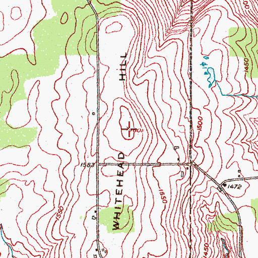 Topographic Map of Whitehead Hill, NY