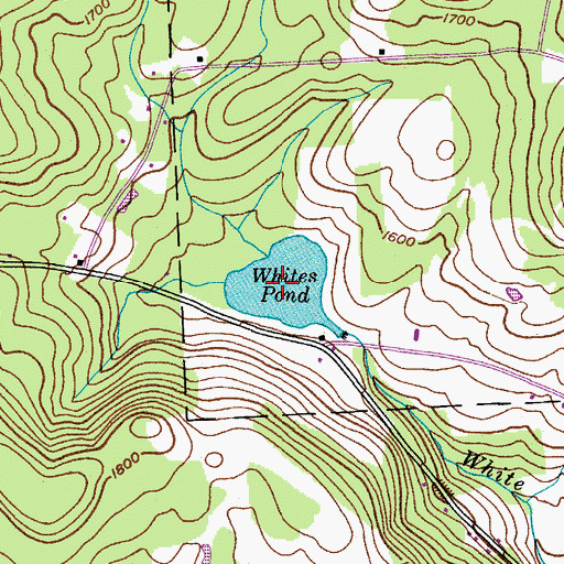 Topographic Map of Whites Pond, NY