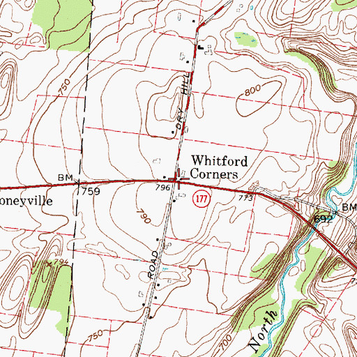 Topographic Map of Whitford Corners, NY