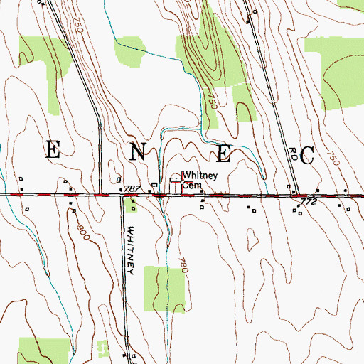 Topographic Map of Whitney Cemetery, NY
