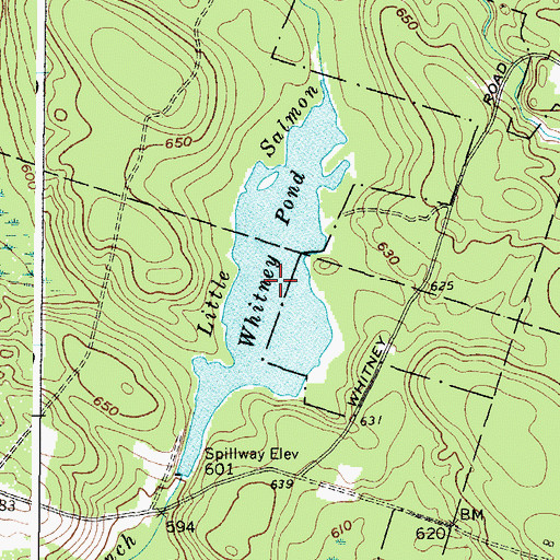 Topographic Map of Whitney Pond, NY