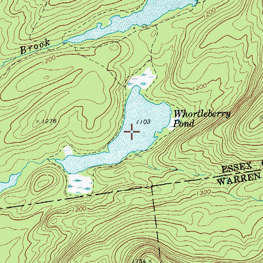 Topographic Map of Whortleberry Pond, NY