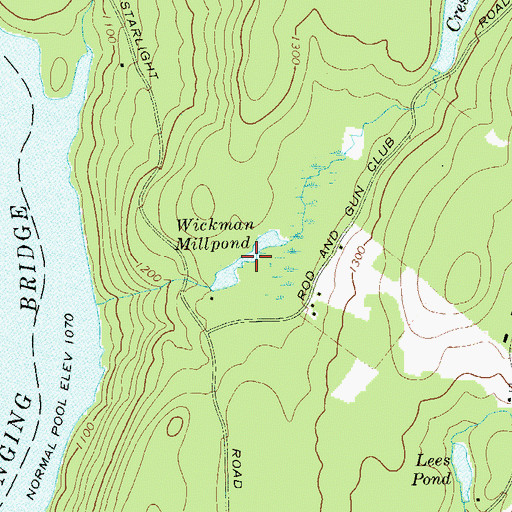 Topographic Map of Wickman Millpond, NY