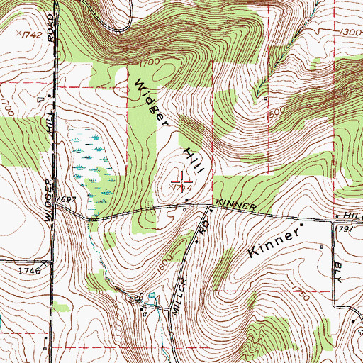 Topographic Map of Widger Hill, NY