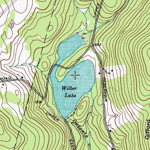 Topographic Map of Wilber Lake, NY