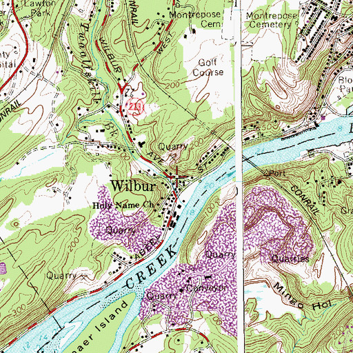 Topographic Map of Wilbur, NY