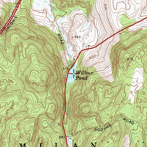 Topographic Map of Wilbur Pond, NY