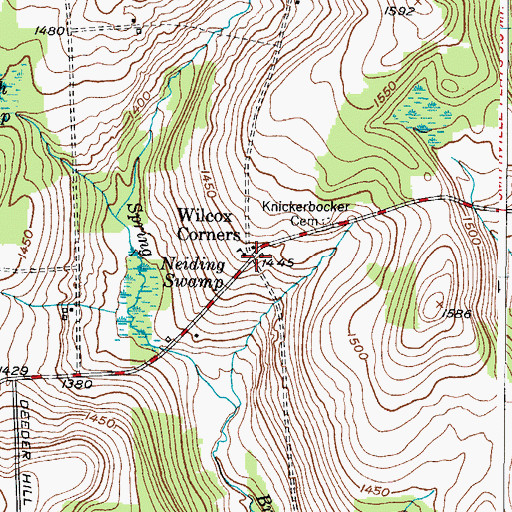 Topographic Map of Wilcox Corners, NY