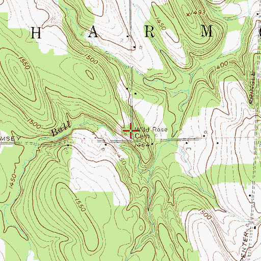 Topographic Map of Wild Rose Cemetery, NY