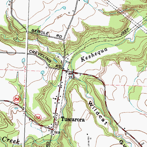 Topographic Map of Wildcat Gully, NY
