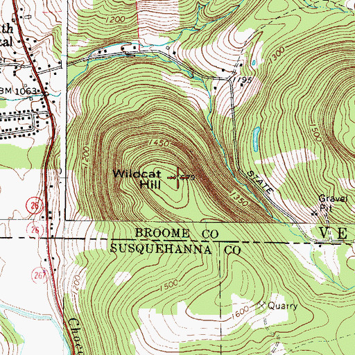Topographic Map of Wildcat Hill, NY