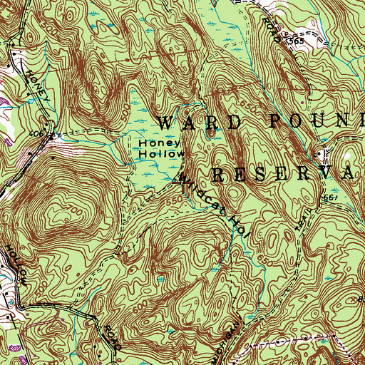 Topographic Map of Wildcat Hollow, NY
