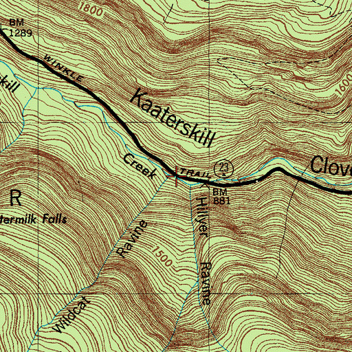Topographic Map of Wildcat Ravine, NY