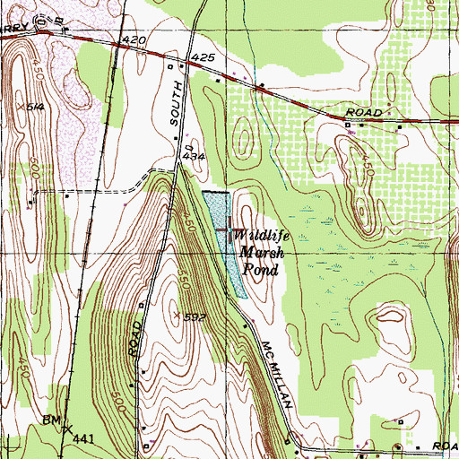 Topographic Map of Wildlife Marsh Pond, NY