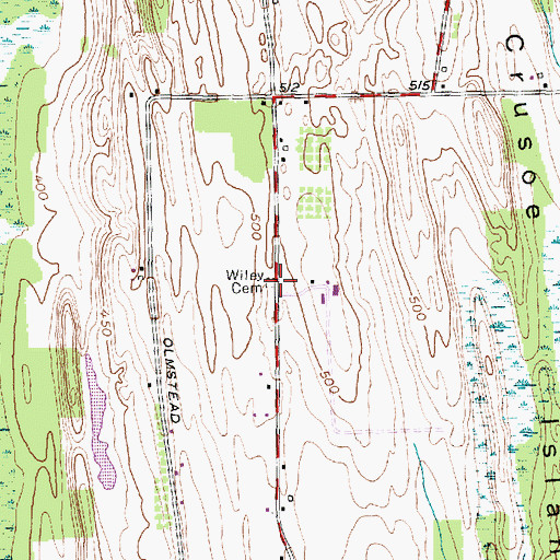 Topographic Map of Wiley Cemetery, NY