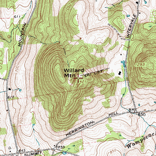 Topographic Map of Willard Mountain, NY