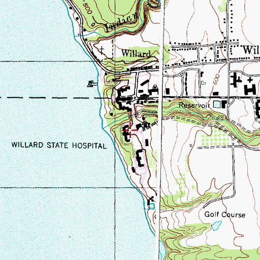 Topographic Map of Willard State Hospital, NY