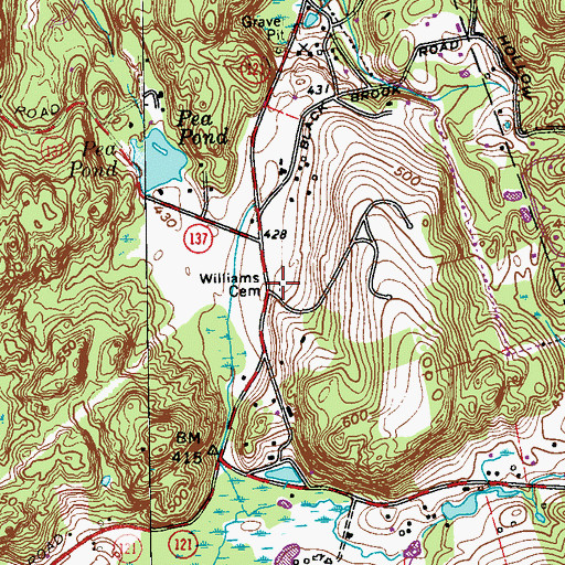 Topographic Map of Williams Cemetery, NY