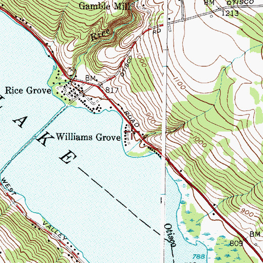 Topographic Map of Williams Grove, NY