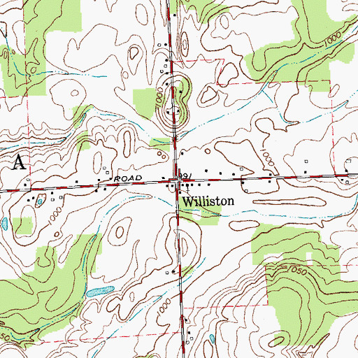 Topographic Map of Williston, NY