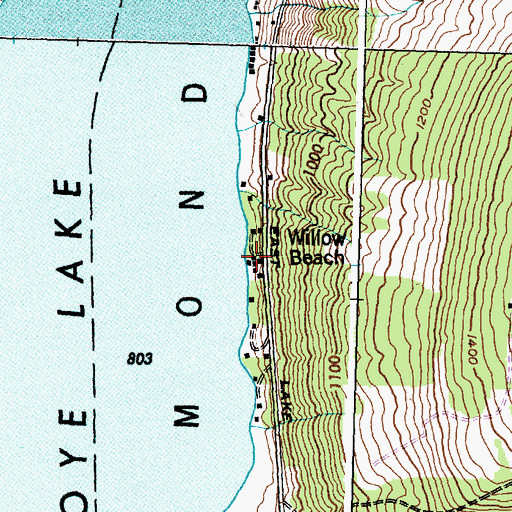 Topographic Map of Willow Beach, NY