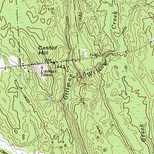Topographic Map of Willow Creek, NY