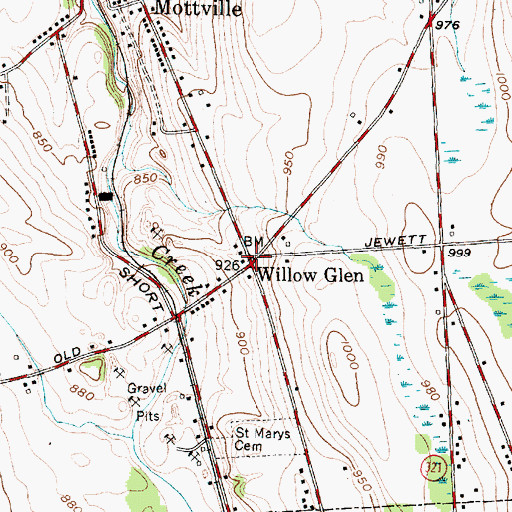 Topographic Map of Willow Glen, NY