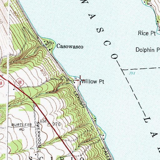 Topographic Map of Willow Point, NY