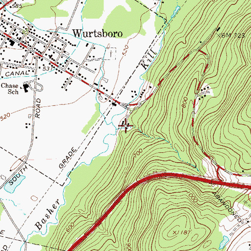 Topographic Map of Willsey Brook, NY